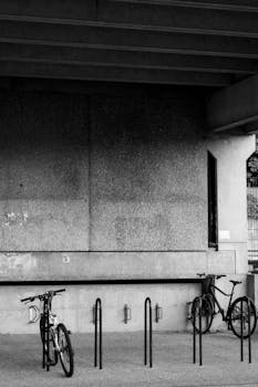  基金转换操作不当引发纠纷，银行因未尽重新评估义务承担主要责任。 股票财经