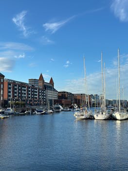 购车决策指南：面对波动油价，家庭与个人的最优选择策略 房产家居