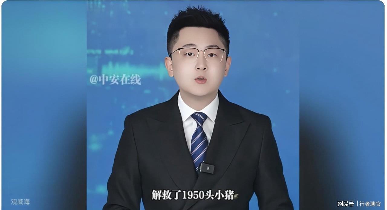  【十年救援复盘】从58万跨省转运1950头乳猪：一名动物救助者的实战方法论 新闻