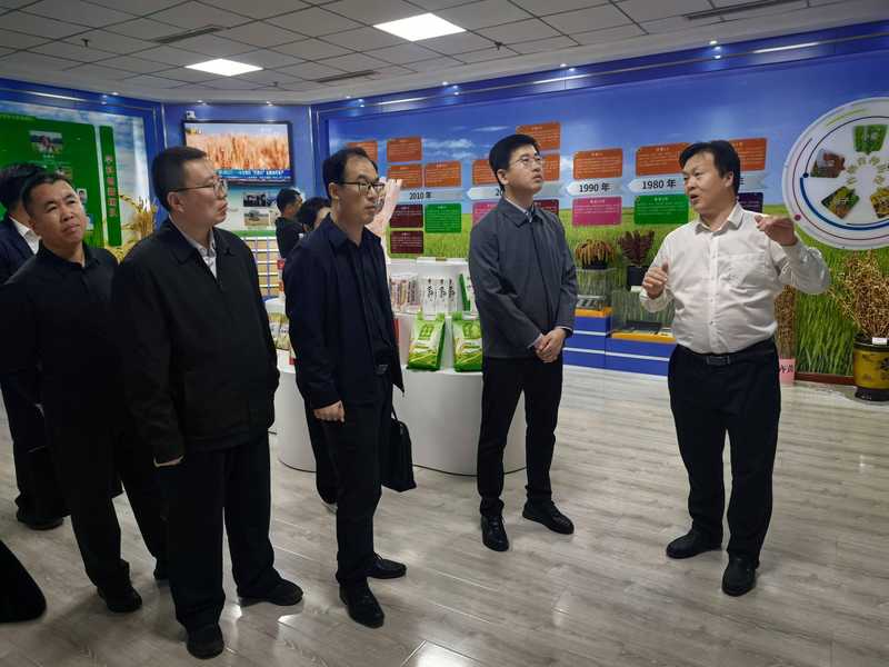 甘薯产业振兴背后的科技密码：山东省农科院与无棣县科企融合深度解析 新闻