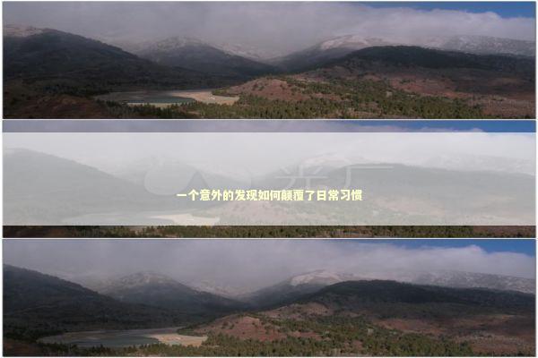 一个意外的发现如何颠覆了日常习惯 新闻