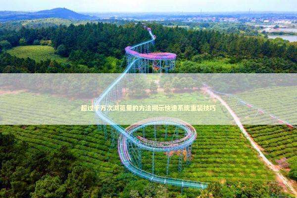 超过千万次浏览量的方法揭示快速系统重装技巧