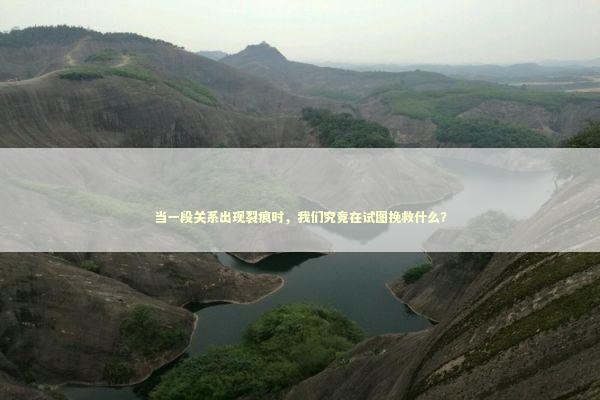 当一段关系出现裂痕时，我们究竟在试图挽救什么？