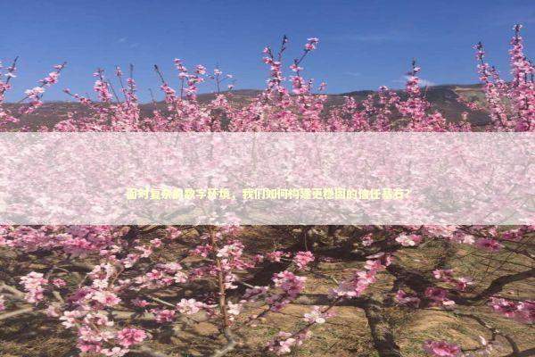 面对复杂的数字环境,我们如何构建更稳固的信任基石? 面对复杂的数字环境,我们如何构建更稳固的信任基石? IT技术