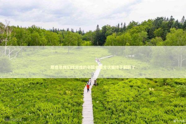 那些年我们找游戏的辛酸史看完这篇终于解脱了