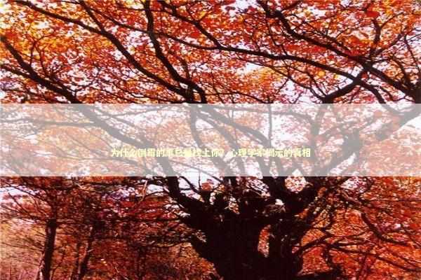 为什么倒霉的事总是找上你？心理学家揭示的真相 情感心理